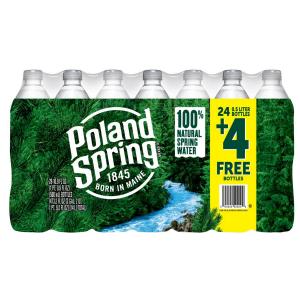 Poland Spring - Wtr no Dep 16.9fl 28ct