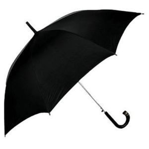 Rainfree - 48 Auto Umbrella