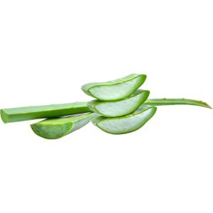 Produce - Aloe Vera Leaves