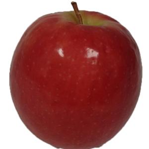 Quantum - Apple Cripps Pink Pink Lady