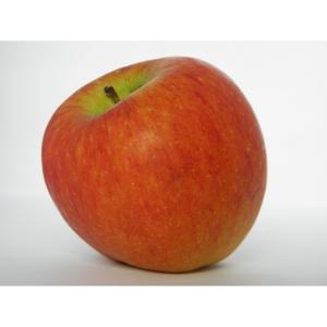 Produce - Apple Gravenstein