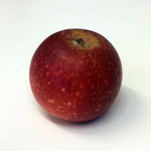 Produce - Apple Ingrid Marie