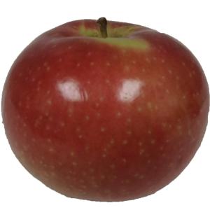 Fresh Produce - Apple Mcintosh Large