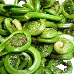 Wedderspoon - Asparagus Fiddleheads