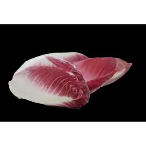 Fresh Produce - Belgian Endive Red