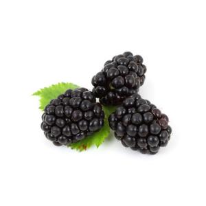 Blackberries