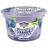 BLUBERRY ALMOND YOGURT