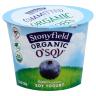 BLUEBERRY O SOY YOGURT