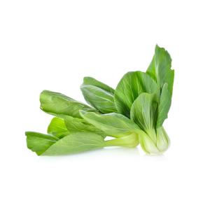 Bok Choy