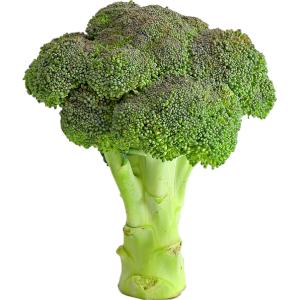 Broccoli Cold