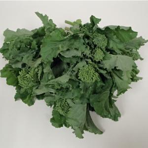 Andy Boy - Broccoli Rabe