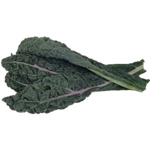 Fresh Produce - Cabbage Tuscan