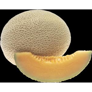 Fresh Produce - Cantaloupe