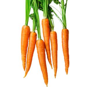 Fresh Produce - Carrot French