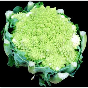 Cauliflower Green