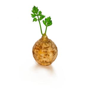 Fresh Produce - Celery Root