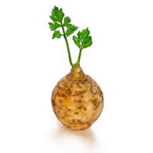 Celery Root with Leaves