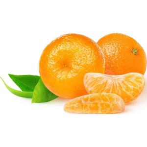 Florida - Tangerine Clementine