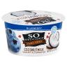 COCONUT MILK BLUEBERRY YOGURT