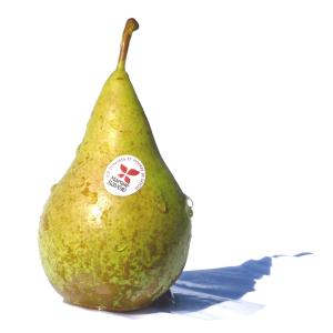 Produce - Pear Conference