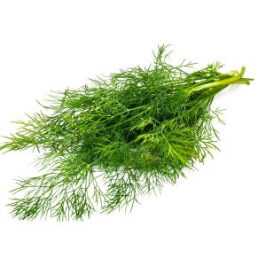 Fresh Produce - Dill Tagged