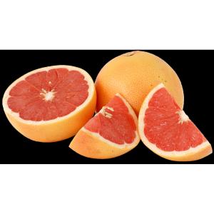 Florida - Extra Large Ruby Red Grapefruit