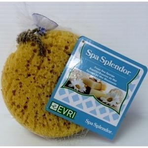 Evri - Foam Sea Sponge