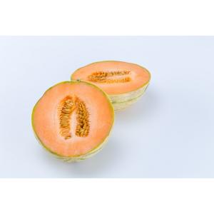 Fresh Produce - French Afternoon Melon