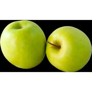 Reko - Apple Golden Delicious