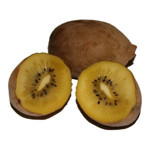 Zespri - Sungold Kiwi