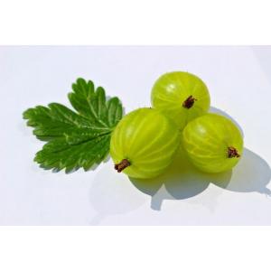 Produce - Gooseberries