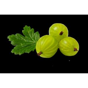 Produce - Gooseberries