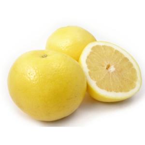 Fresh Produce - Grapefruit White 40ct