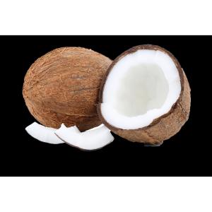 Tropical - Grooved Coconut