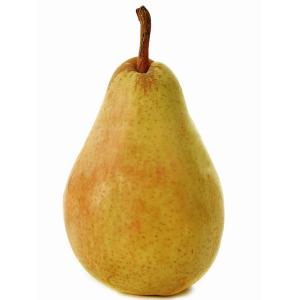 Undefined - Guyot Pears