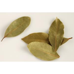 Fresh Herbs - Herbs Bay Leaves