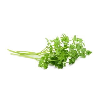 Fresh Herbs - Herbs Chervil