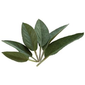 Fresh Produce - Herbs Sage