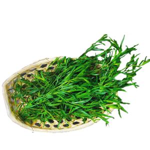 Fresh Produce - Herbs Tarragon