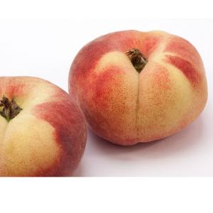 California - Indian Peach