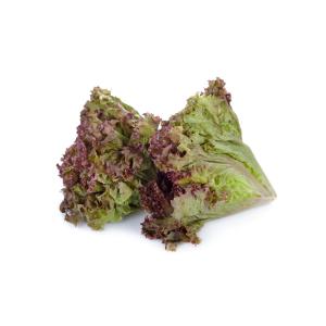 Fresh Produce - Lettuce Red Leaf Eastern