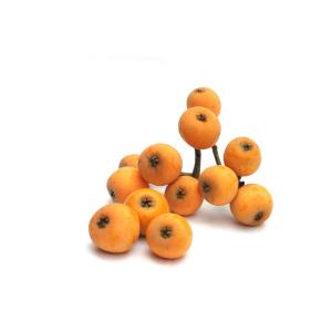 Fresh Produce - Loquat