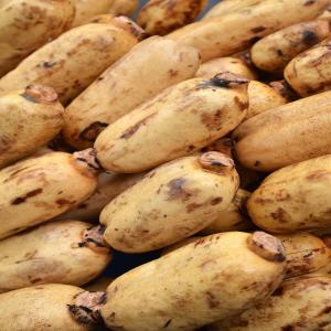 Fresh Produce - Lotus Root