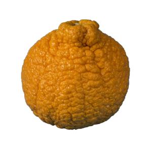 Fresh Produce - Mandarins Sumo