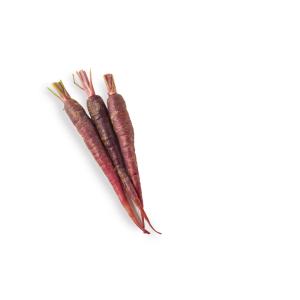 Fresh Produce - Carrots Maroon