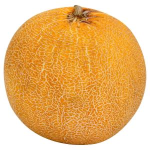 Fresh Produce - Melons Galia