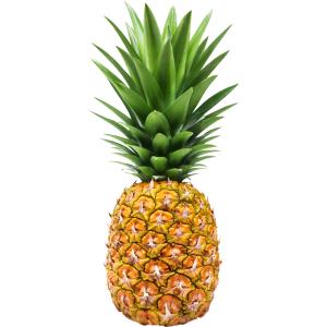 Produce - Pineapple Mini