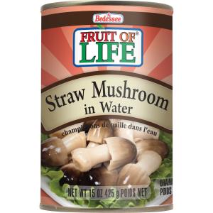 Fruit of Life - Mushroom Straw in Water