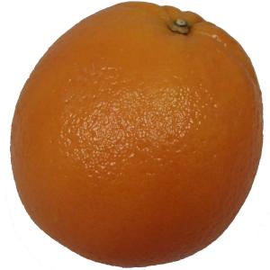 Fresh Produce - Orange Navel