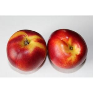 Fresh Produce - Nectarine Nectavigne Red